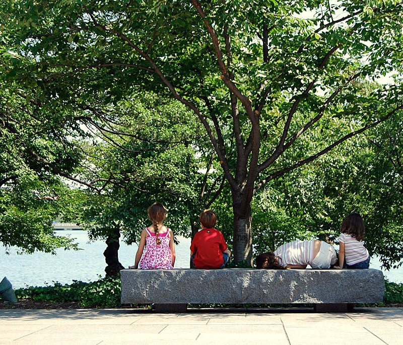 kids seated beneath a tree